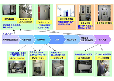 东芝微生物实验