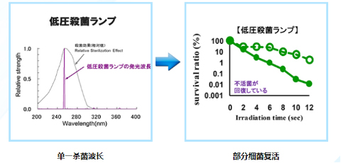 低压紫外线的杀菌波长单一，部分细菌病毒有可能复活