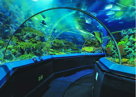 海洋水族馆