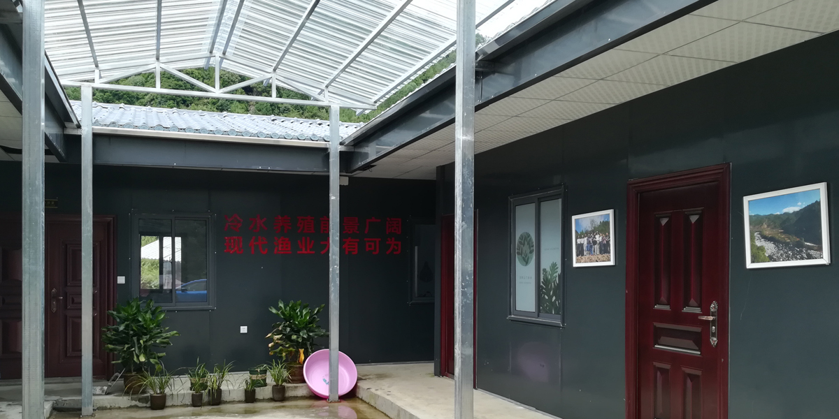三文鱼养殖水杀菌净化