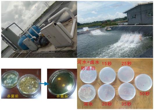 阳江海水养殖场水体净化3