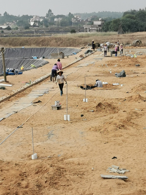 阳江农博虾场建设现场02